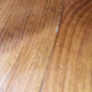 Meet your Posher, Robin